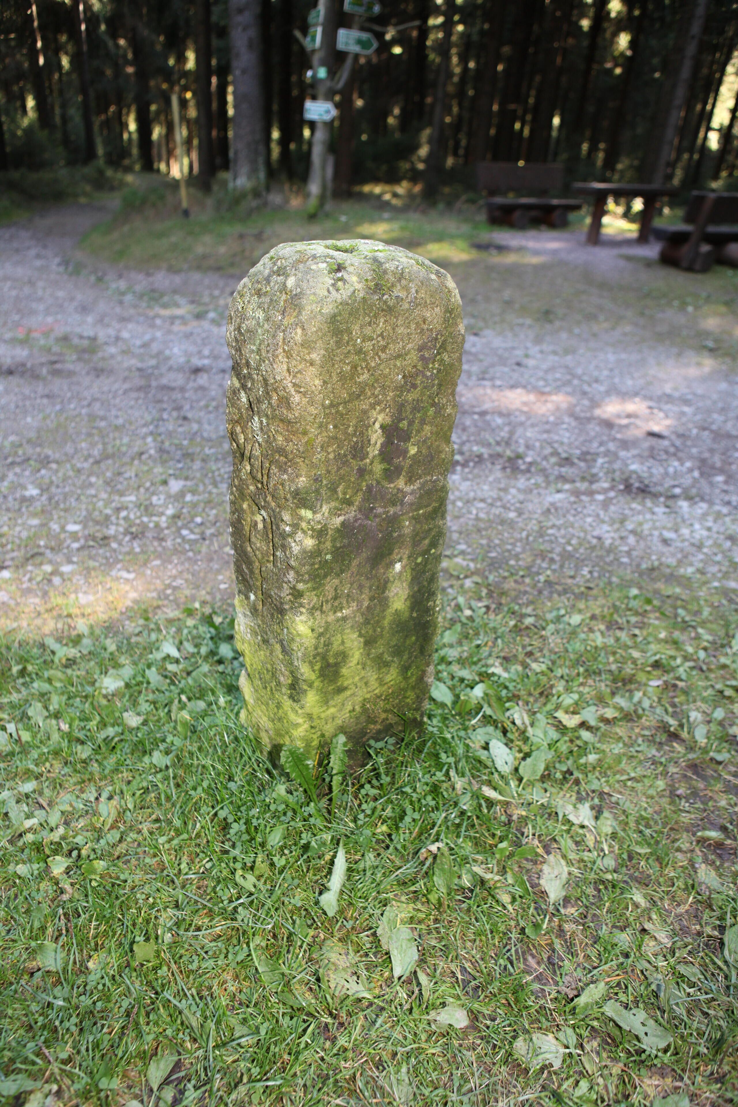 Rennsteig, Hohe Heide, Grenzstein zwischen Schwarzburg-Rudolstadt und Schwarzburg-Sondershausen, Seite Schwarzburg-Sondershausen