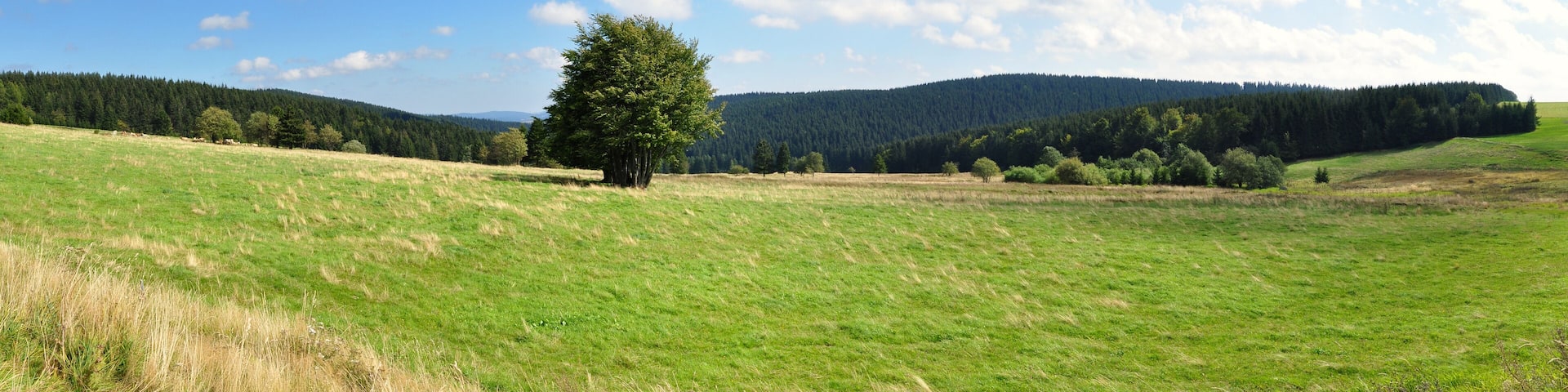 Panoramafoto Thüringer Wald