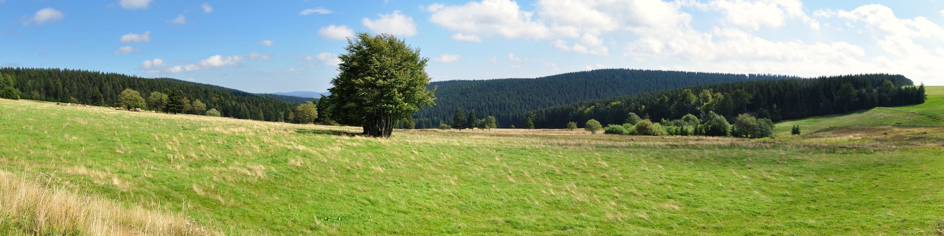 Panoramafoto Thüringer Wald