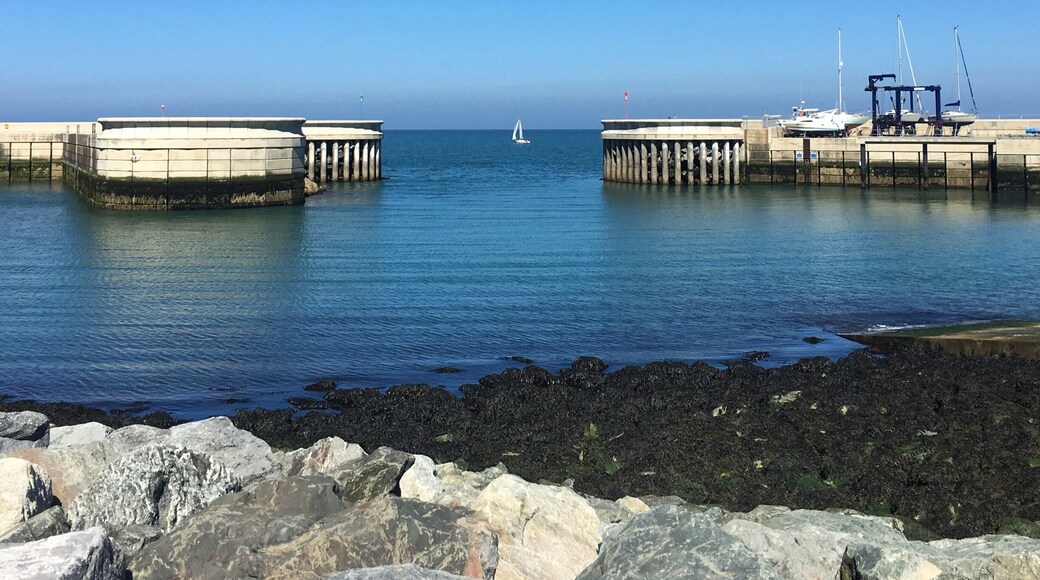 Greystones Marina provides a perfect setting to sit and relax for a while.
