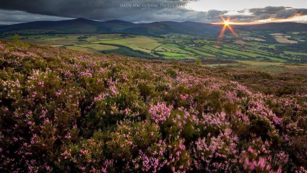Last light on a great day in the hills of Wicklow. Taken from below the summit of the Great Sugarloaf looking towards Dublin.
#hiking #wicklow #ireland #sunstar #sunset