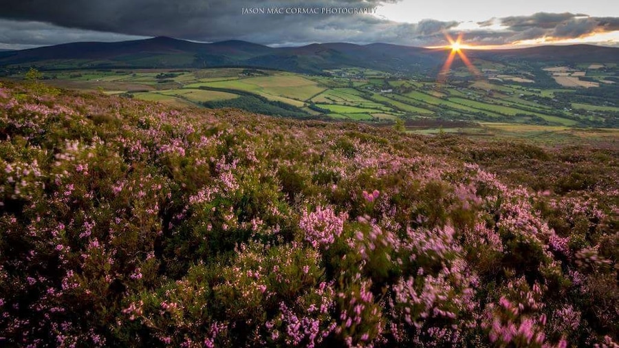 Last light on a great day in the hills of Wicklow. Taken from below the summit of the Great Sugarloaf looking towards Dublin.
#hiking #wicklow #ireland #sunstar #sunset