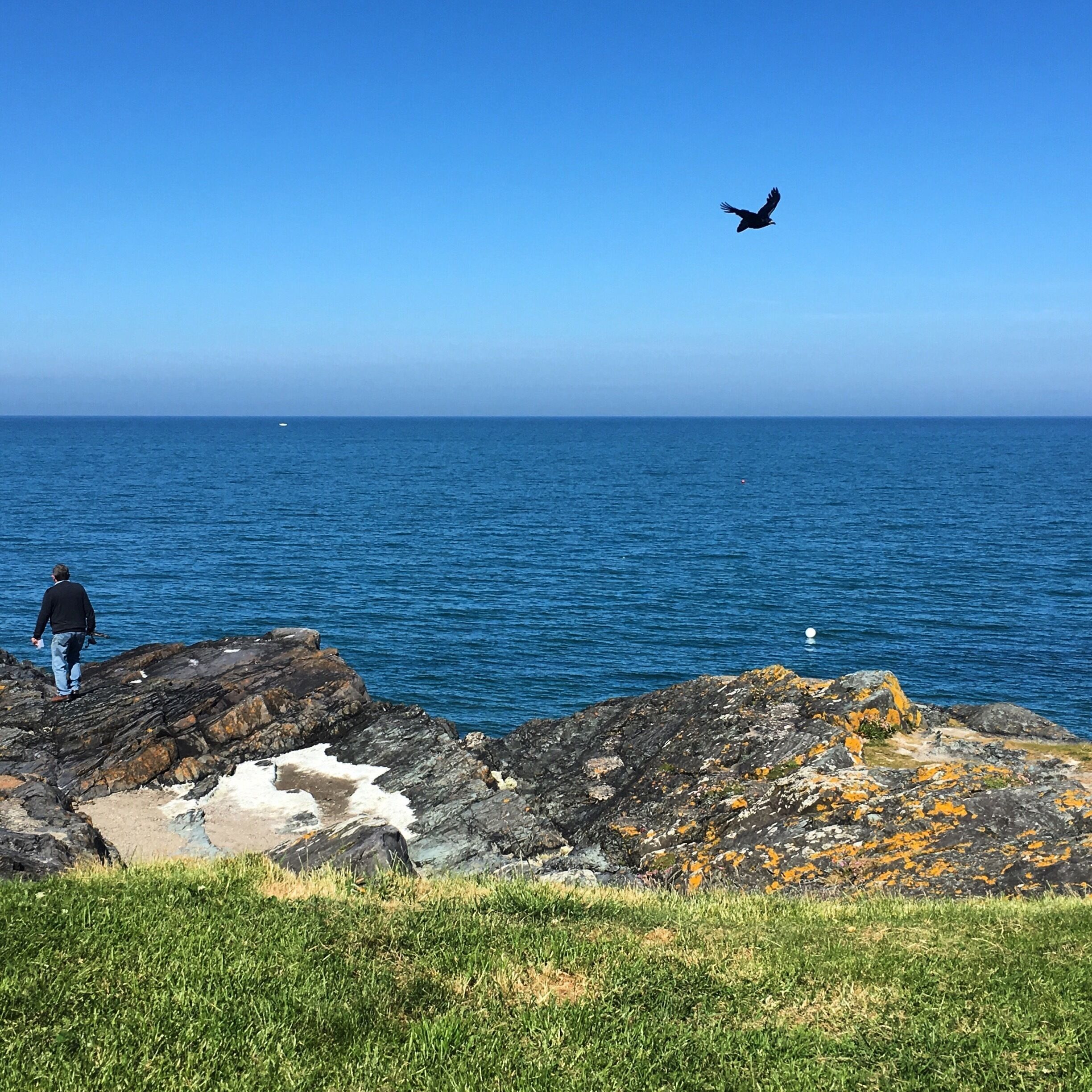 Strolling along the rocky beach shore of Greystones, breathing in the fresh air, is a perfect way to spend a relaxing day trip away from Dublin. 
