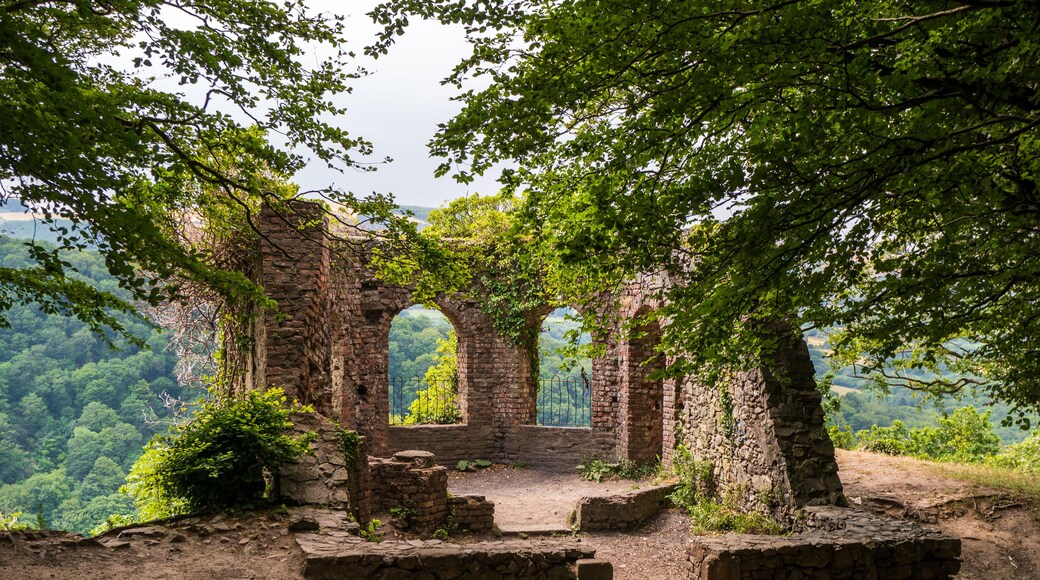 Ruins of a former hunting lodge and tea room framed by tree branches. The Octagon ruin in Glen of The Downs woods, Delgany Village, County Wicklow, Ireland.