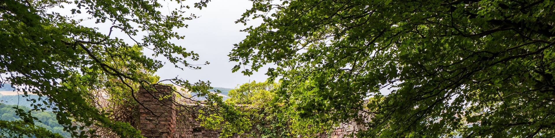 An ancient stone archway surrounded by lush greenery and a forested landscape.