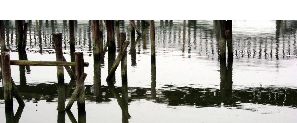 Reflection under the bridge.