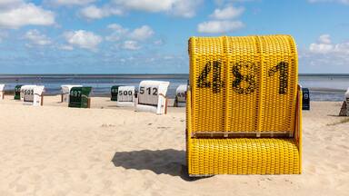 A beach with numbered beach chairs and a large yellow chair labeled 481.
