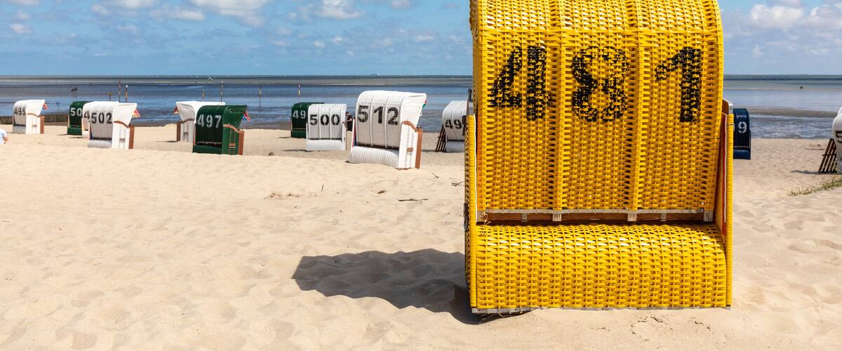 A beach with numbered beach chairs and a large yellow chair labeled 481.