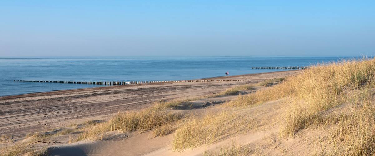 A beach with sand dunes and a wooden jetty extending into the water.