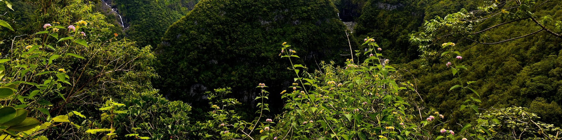A lush green valley with steep cliffs and waterfalls.