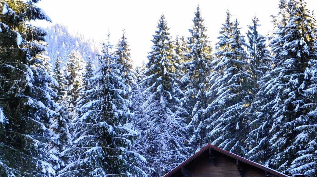 The famous winter ski resort with great nightlife and awesome slopes #romania #architecture