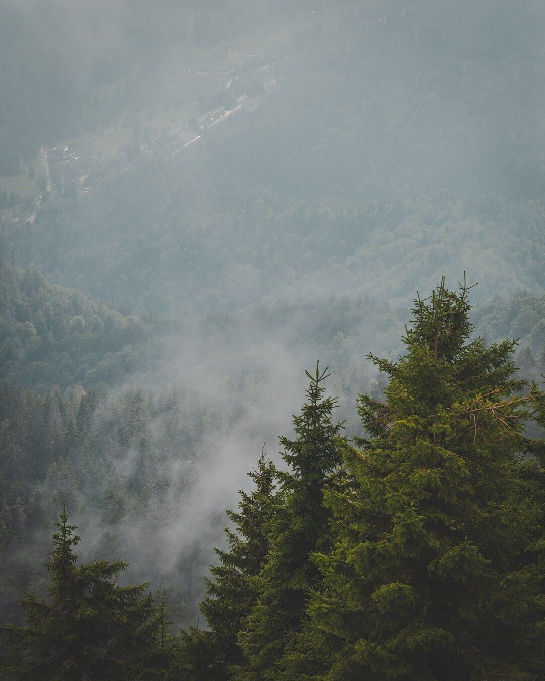 Take the cable car up and enjoy the views, or get stuck in a beautiful fog.
#aboveitall