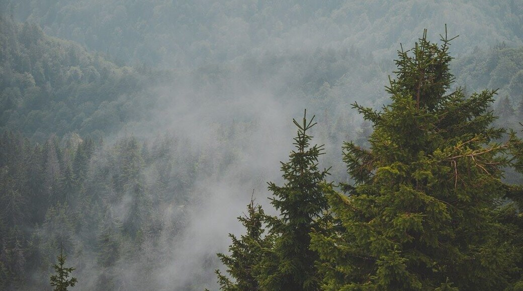 Take the cable car up and enjoy the views, or get stuck in a beautiful fog.
#aboveitall