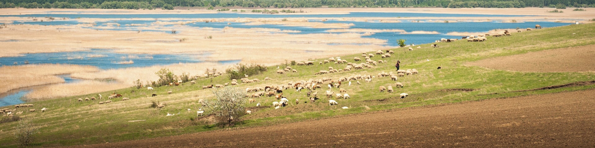 This place doesn't cease to amaze me! Electric #BVSBlue for end-of-April high water level in the Upper Delta.
#waterlust