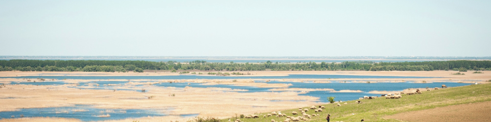 This place doesn't cease to amaze me! Electric #BVSBlue for end-of-April high water level in the Upper Delta.
#waterlust