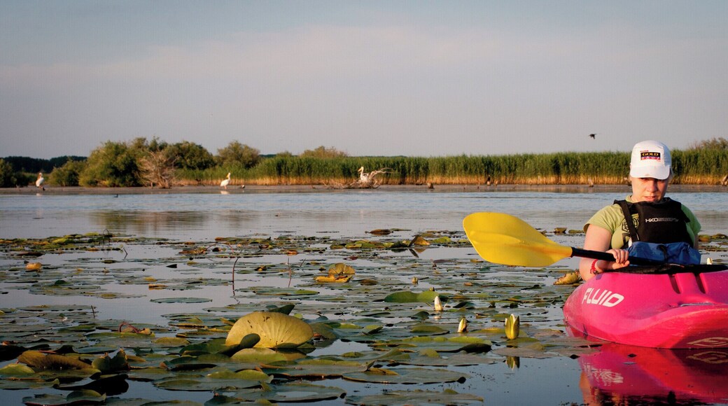 'It felt like a detective job at times – guessing the name of a bird seen from afar or venturing into lily-swarmed lakes were high on that day’s list. We didn’t even feel the intimidating heat thanks to the lush vegetation protecting us all the way through the canals.'
...last year's vibe, enriched with the joy of an extraordinary evening, one of the most beautiful in my life!
#GoldenHour #BestOf5