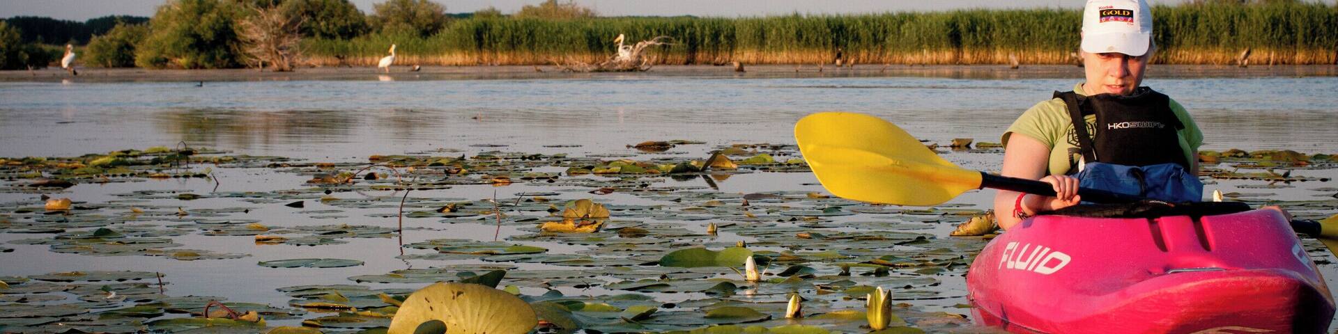 'It felt like a detective job at times – guessing the name of a bird seen from afar or venturing into lily-swarmed lakes were high on that day’s list. We didn’t even feel the intimidating heat thanks to the lush vegetation protecting us all the way through the canals.'
...last year's vibe, enriched with the joy of an extraordinary evening, one of the most beautiful in my life!
#GoldenHour #BestOf5