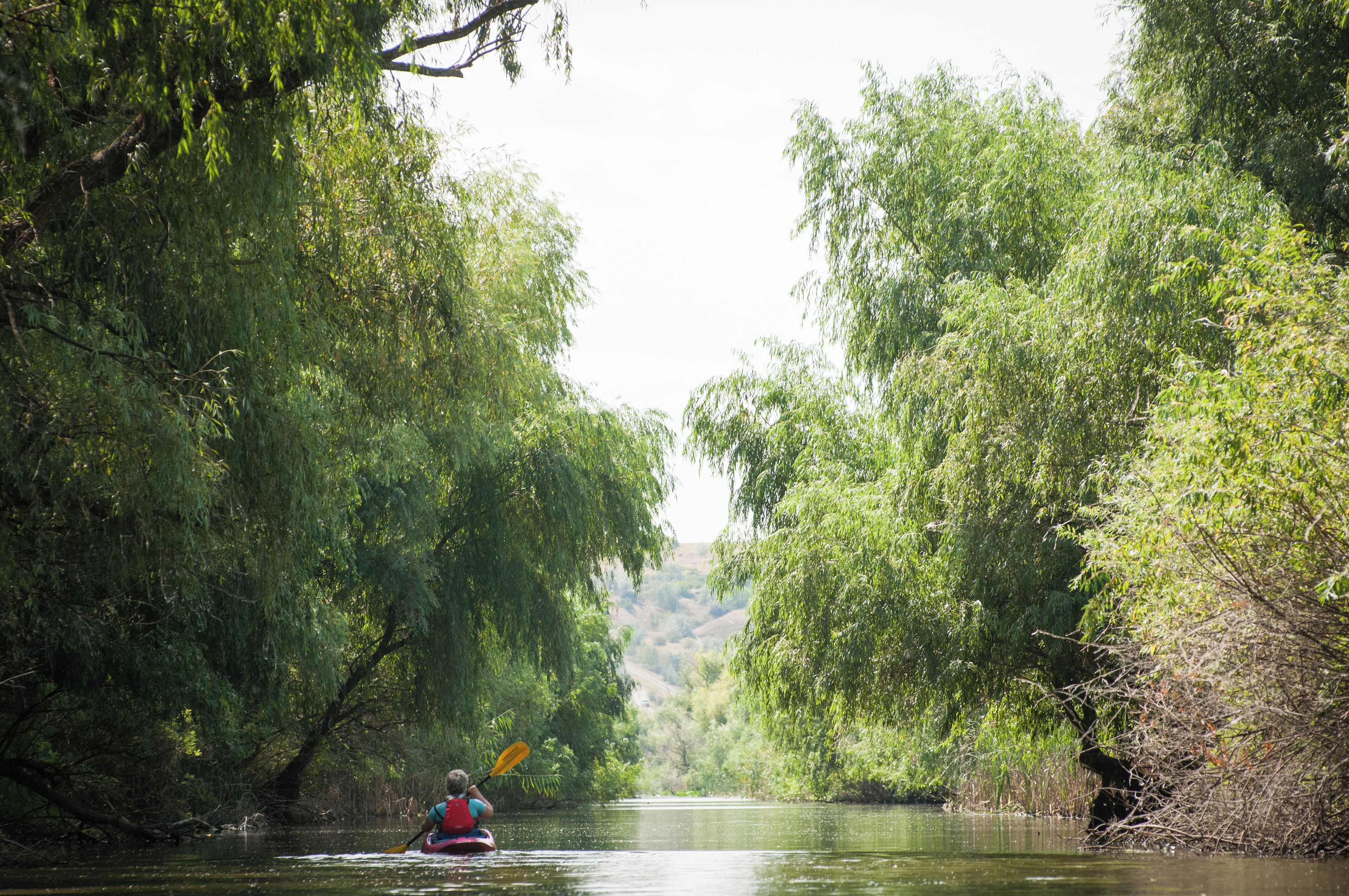 We've finally experienced it: autumn in the Delta.
#waterlust #adventure

P.S. Watch us go through our Danube Delta kayaking trip, late August-- 
https://bit.ly/2UKC0mS