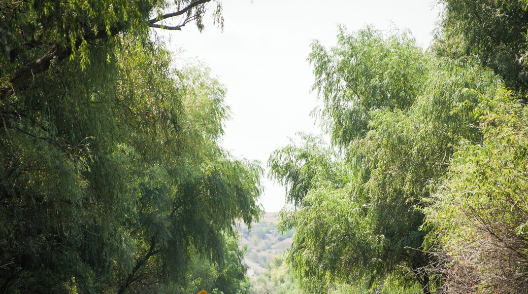 We've finally experienced it: autumn in the Delta.
#waterlust #adventure
P.S. Watch us go through our Danube Delta kayaking trip, late August--
https://bit.ly/2UKC0mS