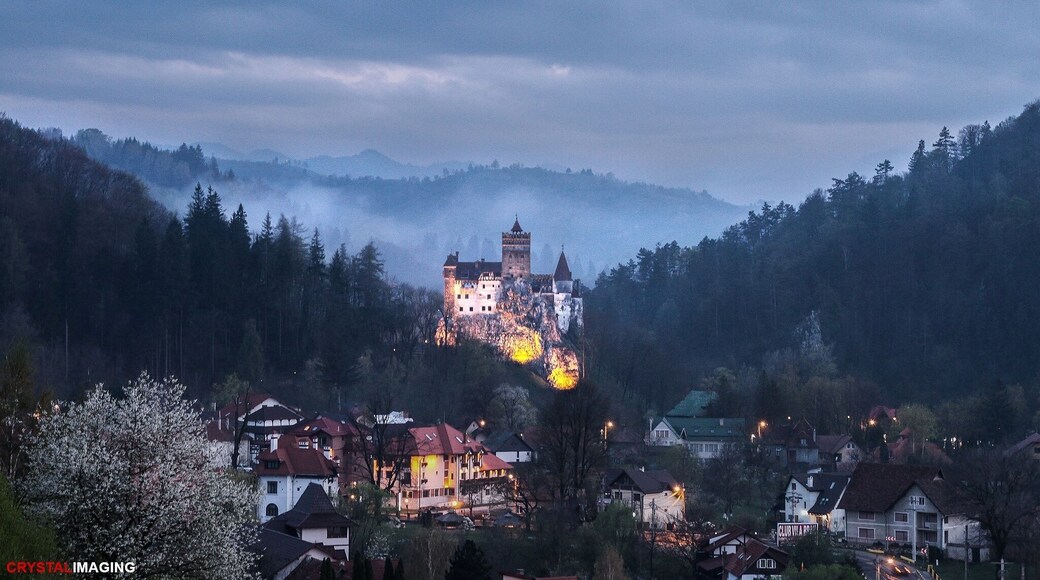 After searching for most of the day for the perfect vantage point, I took one last chance and drove up to Villa Bran and boy it did not disappoint. I had just enough time to set up my camera before the lights came on and as an extra treat, the mist flooded the valley behind the castle.
#travel #romania #bran #dracula #castle #colorful #eerie #blue