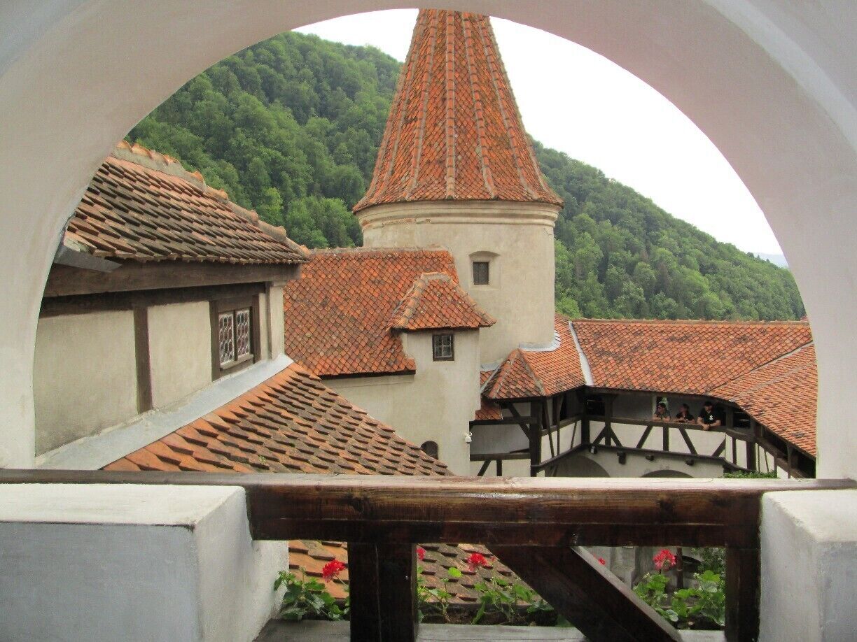 The view from the outdoor dining hall.