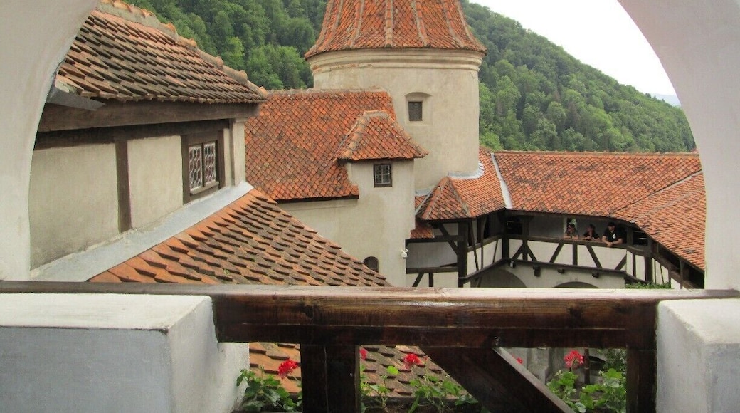 The view from the outdoor dining hall.