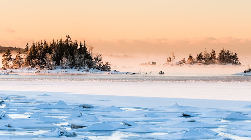 Porters Lake