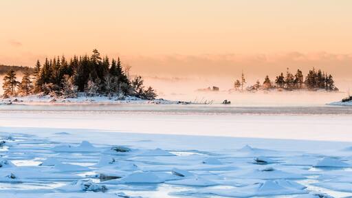 morning fog over frozen ocean bay