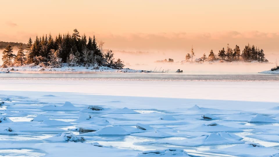 A frozen lake with snow-covered trees and icebergs.
