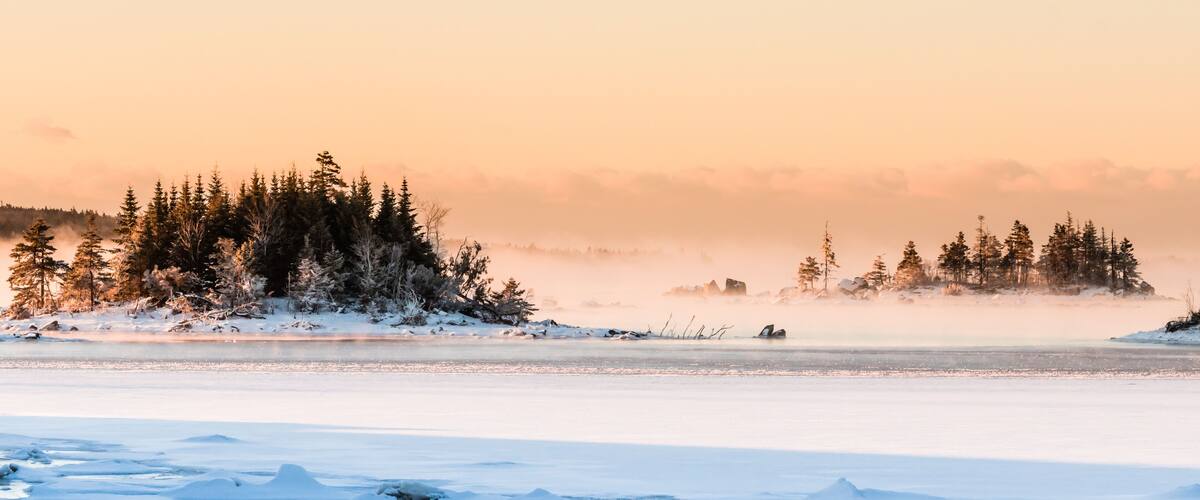 A frozen lake with snow-covered trees and icebergs.