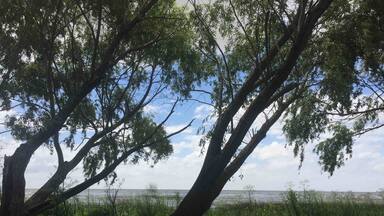 Magdalena. Kite spot