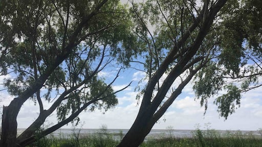 Magdalena. Kite spot