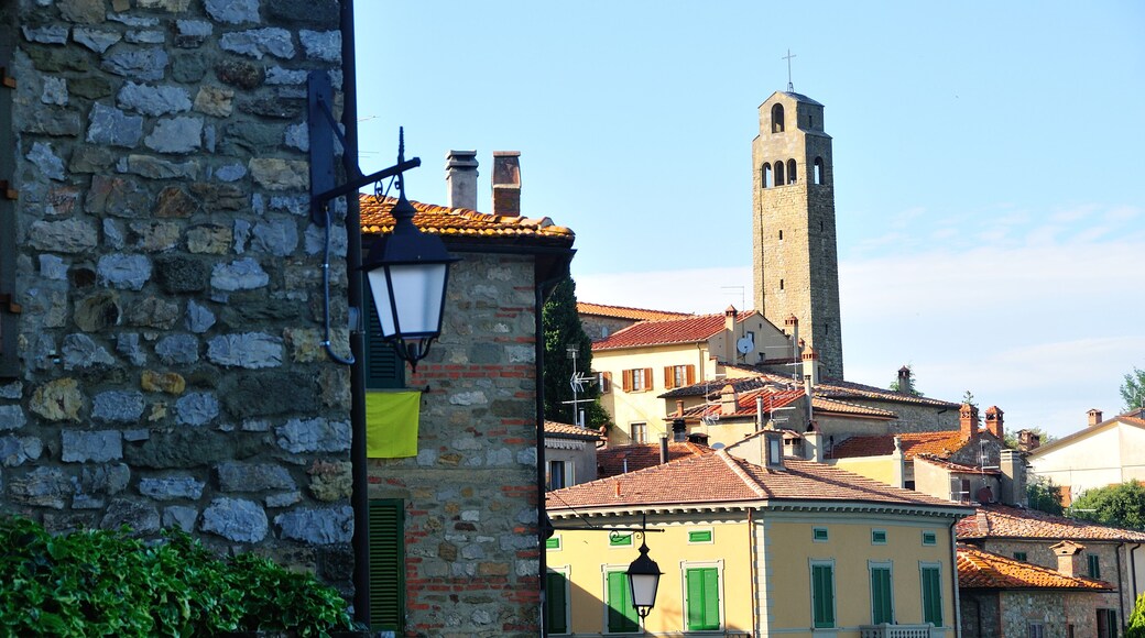 奇維特拉因瓦爾迪其亞納