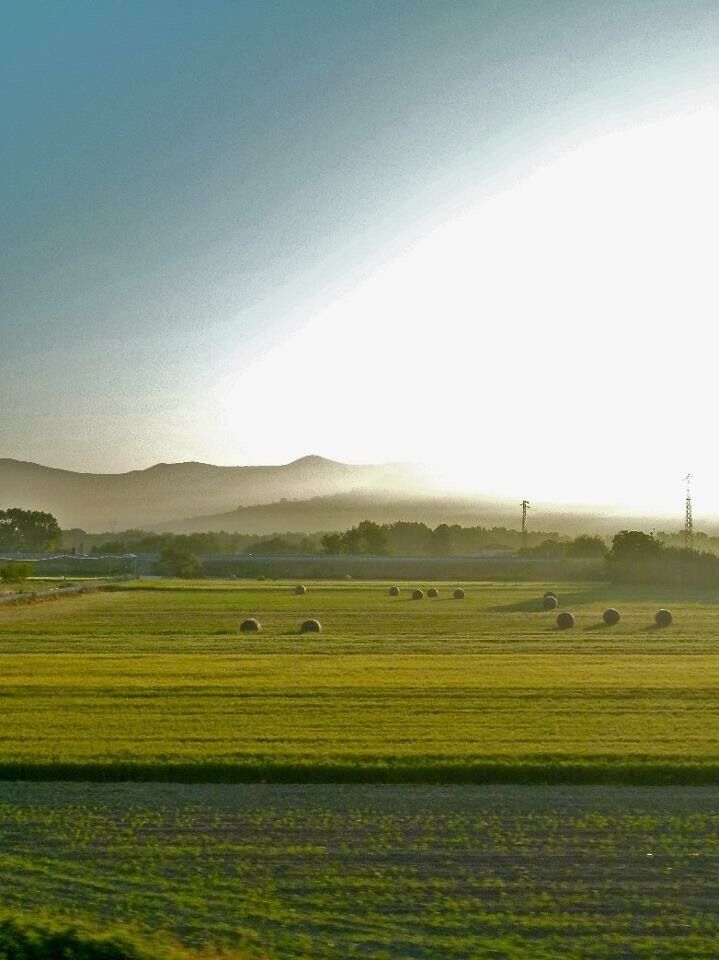 Sunrise view from the train