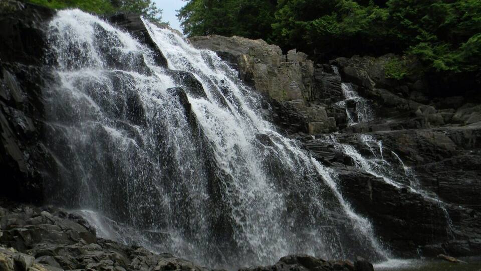 A waterfall cascading over rocks in a forested area.