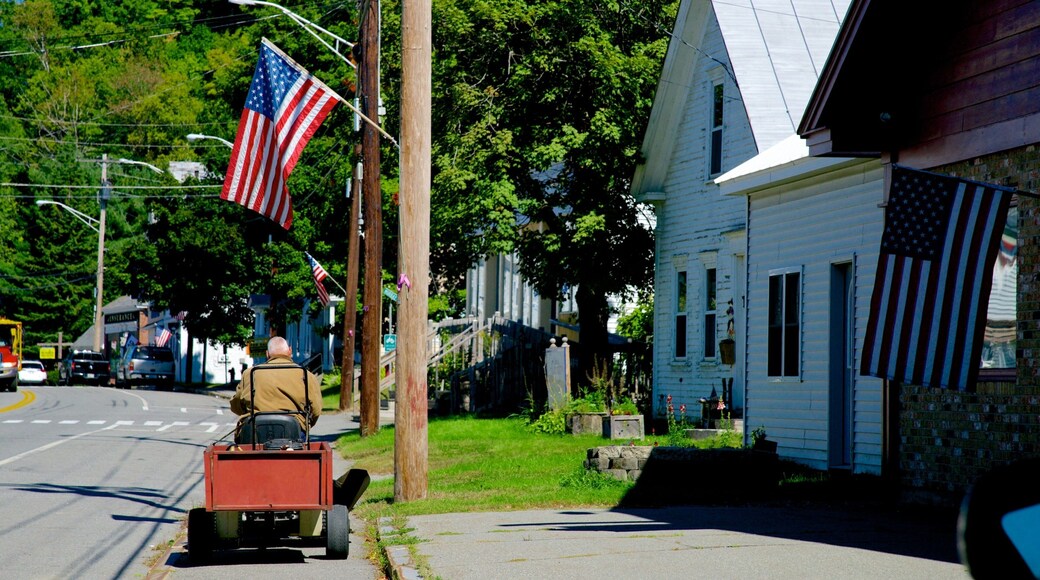 Bingham showing a small town or village as well as an individual male