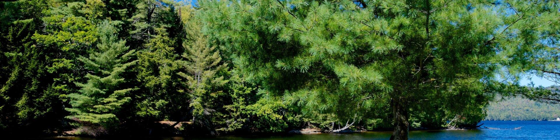 Bingham mostrando lago o sorgente d\'acqua