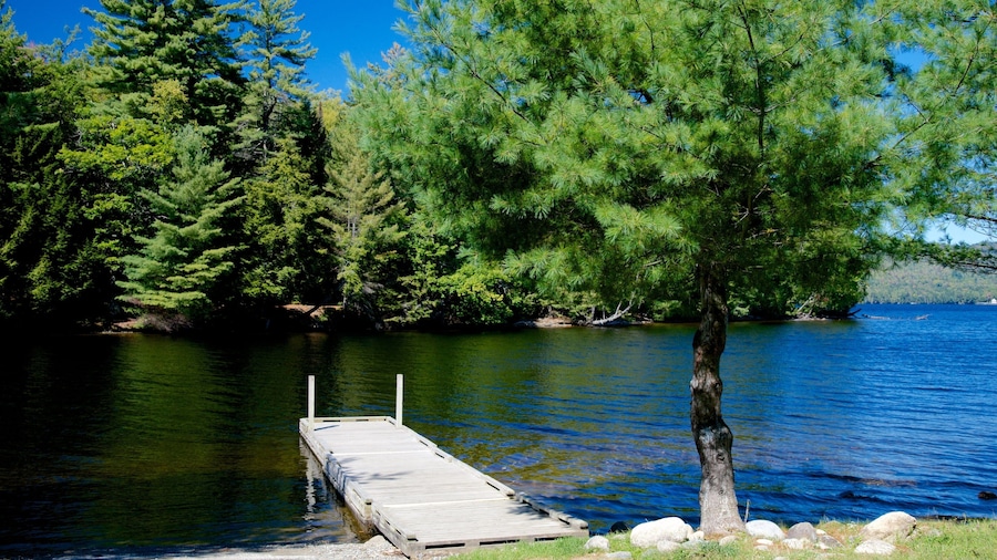 Bingham which includes a lake or waterhole