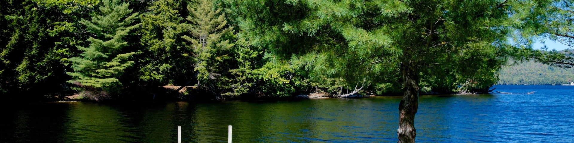 Bingham que inclui um lago ou charco