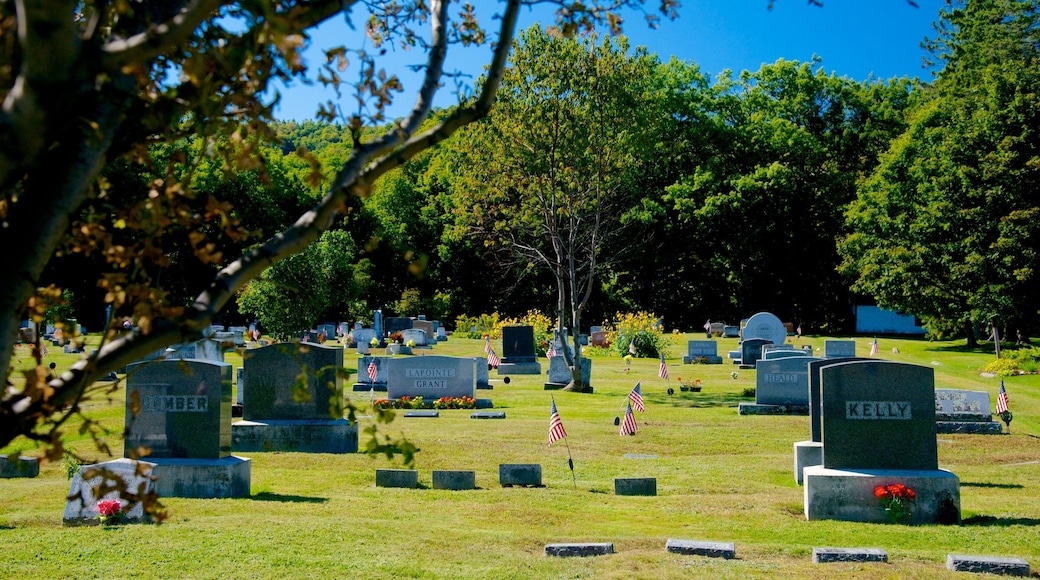 Bingham เนื้อเรื่องที่ สุสาน