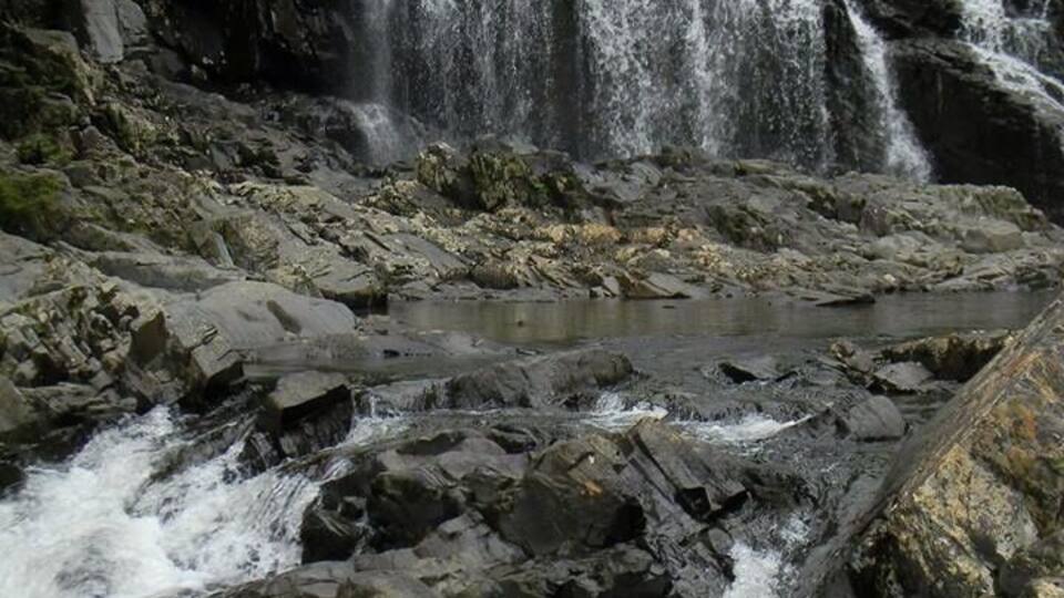 A waterfall cascading over rocks in a forested area.