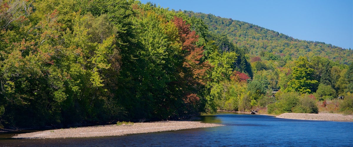 A river with dense forest on one side and a hill in the background.
