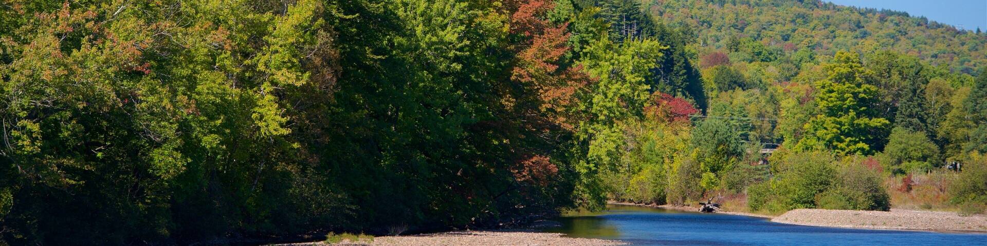 Bingham which includes a river or creek