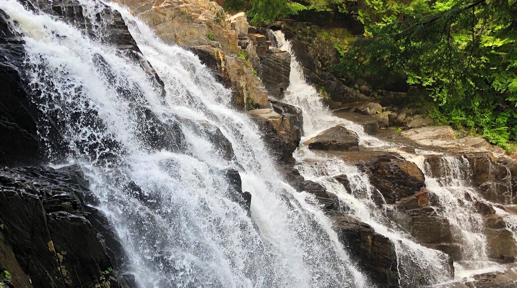 ATV access to trail head.