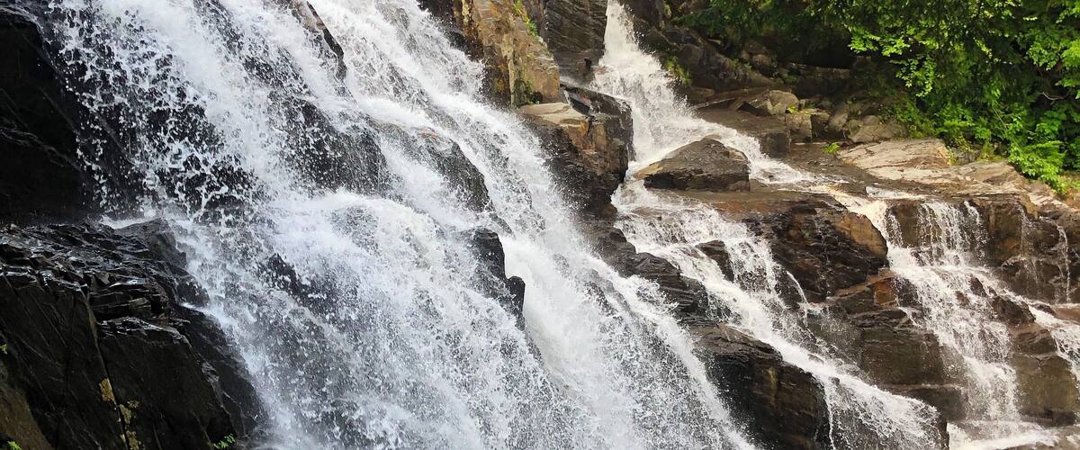 A waterfall cascading over dark rocks surrounded by lush greenery.
