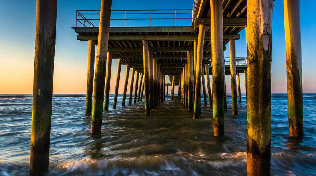 Ventnor City
