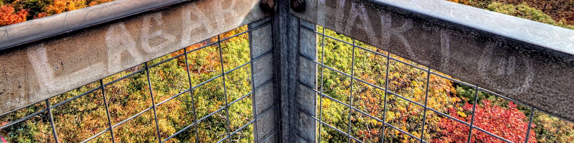 Fall View from Dorset Tower Lookout