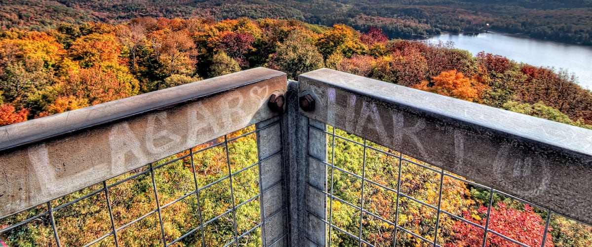 A scenic overlook with a metal railing, autumn foliage, and a lake in the distance.