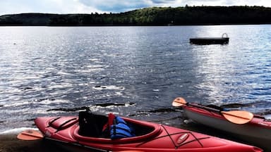 Currently vacationing in the Muskokas for a week. If you visit here be sure to visit Dorset tower, Henrietta's Bakery for the best eclairs in your life, you can rent canoes down the road at Algonquin Outfitters as well as paddle boards. I'm learning how to paddle board today and not doing too bad. Took a few tumbles but dusted myself off. Your also close to Ontario's largest park called Algonquin Park where you can venture out on more trails than you can complete in a month. Just watch for bears and Moose. Enjoy!