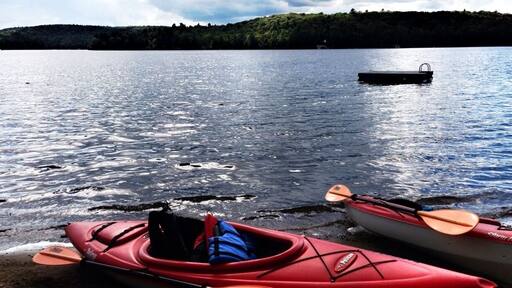 Currently vacationing in the Muskokas for a week. If you visit here be sure to visit Dorset tower, Henrietta's Bakery for the best eclairs in your life, you can rent canoes down the road at Algonquin Outfitters as well as paddle boards. I'm learning how to paddle board today and not doing too bad. Took a few tumbles but dusted myself off. Your also close to Ontario's largest park called Algonquin Park where you can venture out on more trails than you can complete in a month. Just watch for bears and Moose. Enjoy!